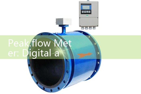 Zhuzhou High Temperature Mass Flow Meter Manufacturer